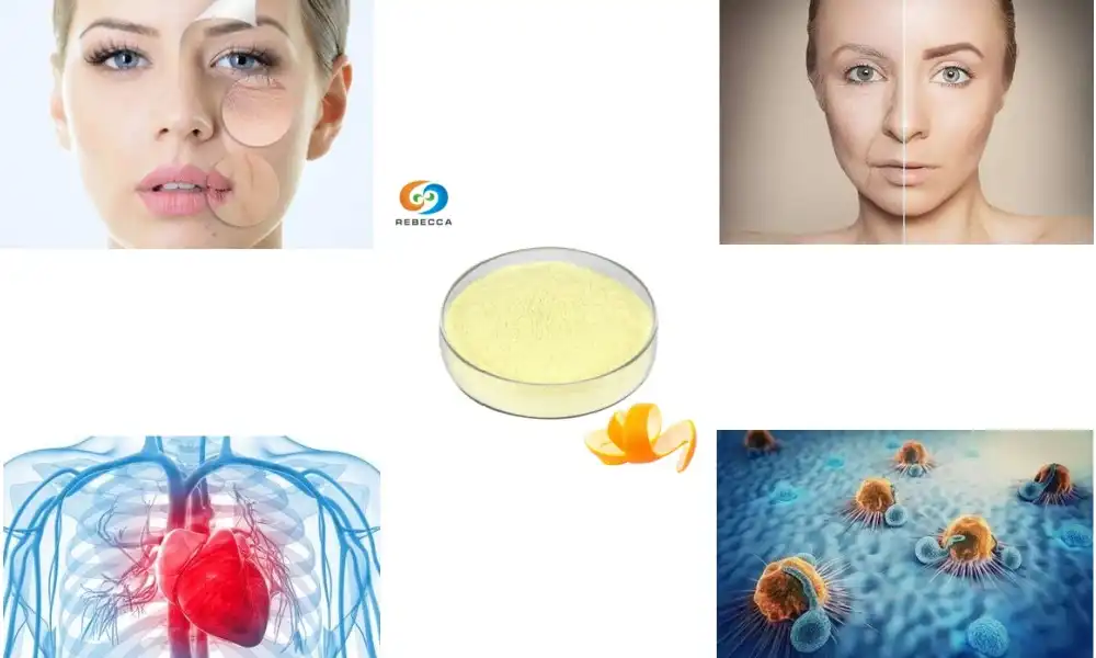 Vitamin C Hesperidin Powder: Is It Safe?